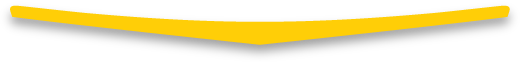 pilot_wing