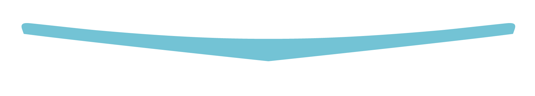 PPM_Wing_Blue